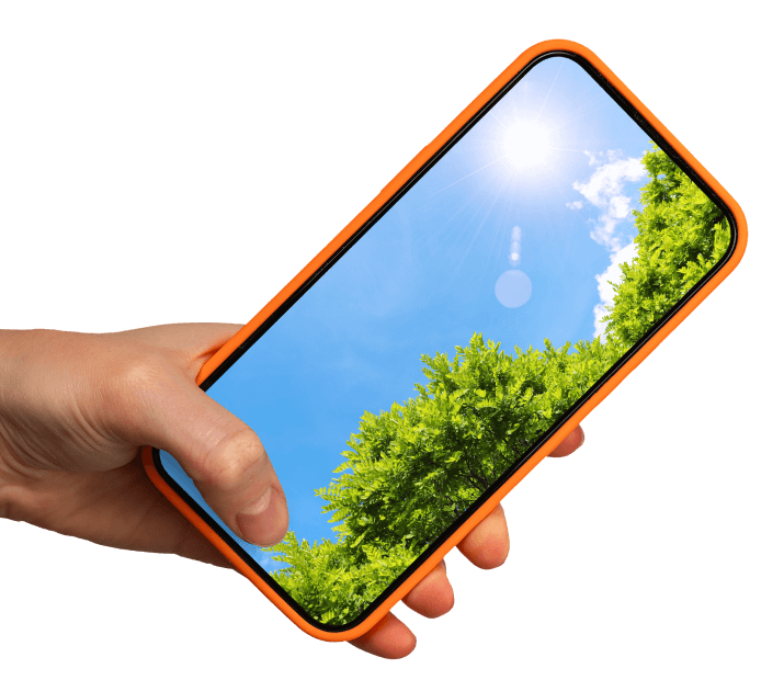 TREES_SKY_IN_PHONE TREES_SKY_IN_PHONE