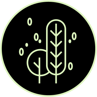 Biomass