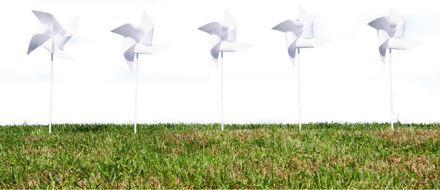 pinwheels-shutterstock_offset_2603554645-grass 1 (1) pinwheels-shutterstock_offset_2603554645-grass 1 (1)