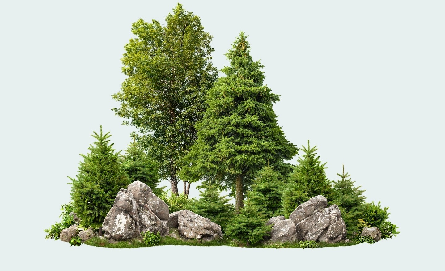 trees-min-cropped2 trees-min-cropped2