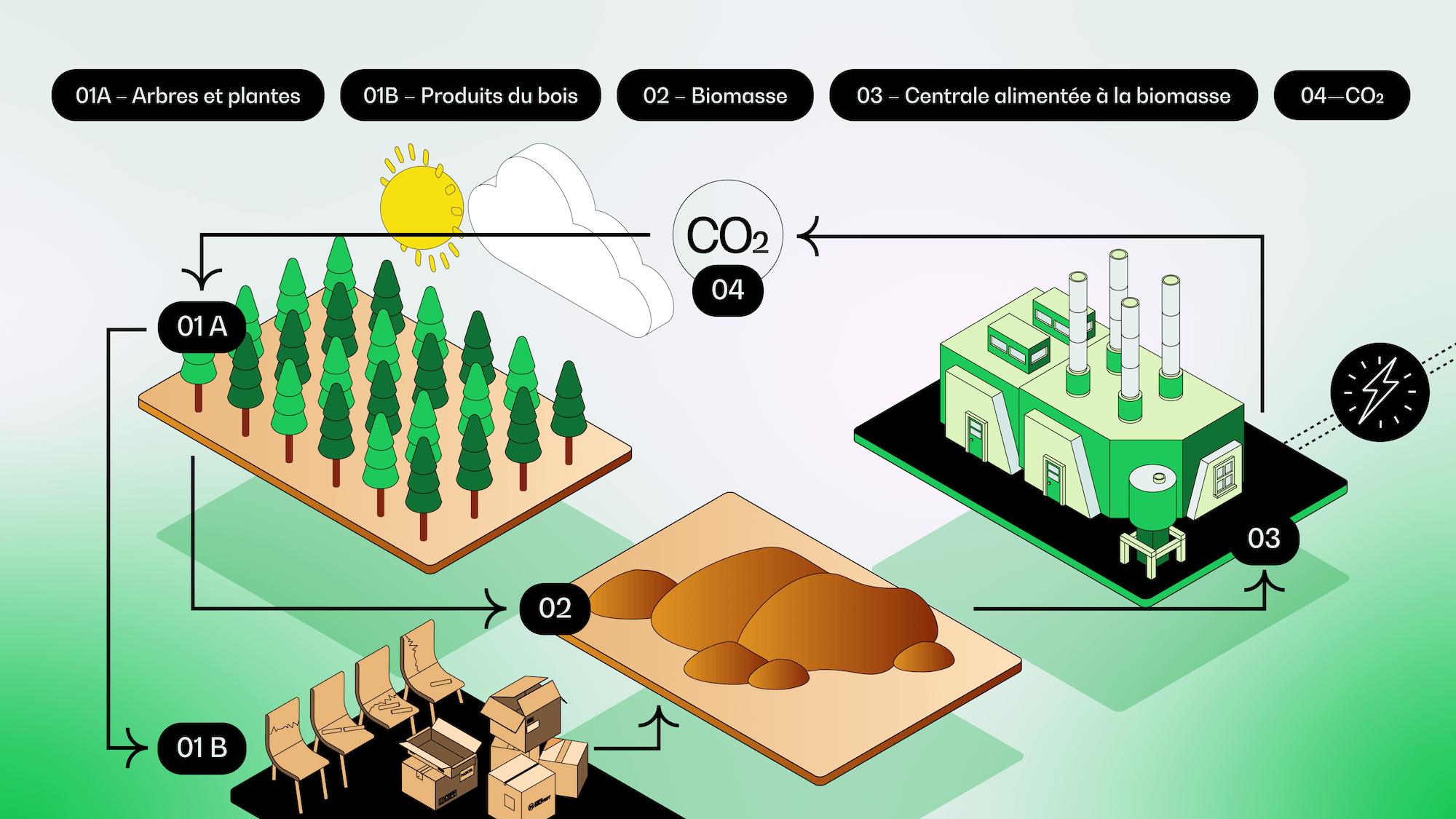 OPG026_U02_BIOMASS ENERGY CYCLE_FR Graphique illustrant le cycle de l’énergie de la biomasse, commençant par la transformation des plantes et des produits du bois en biomasse, qui est ensuite brûlée pour produire de la vapeur, qui à son tour produit de l’électricité et du dioxyde de carbone.