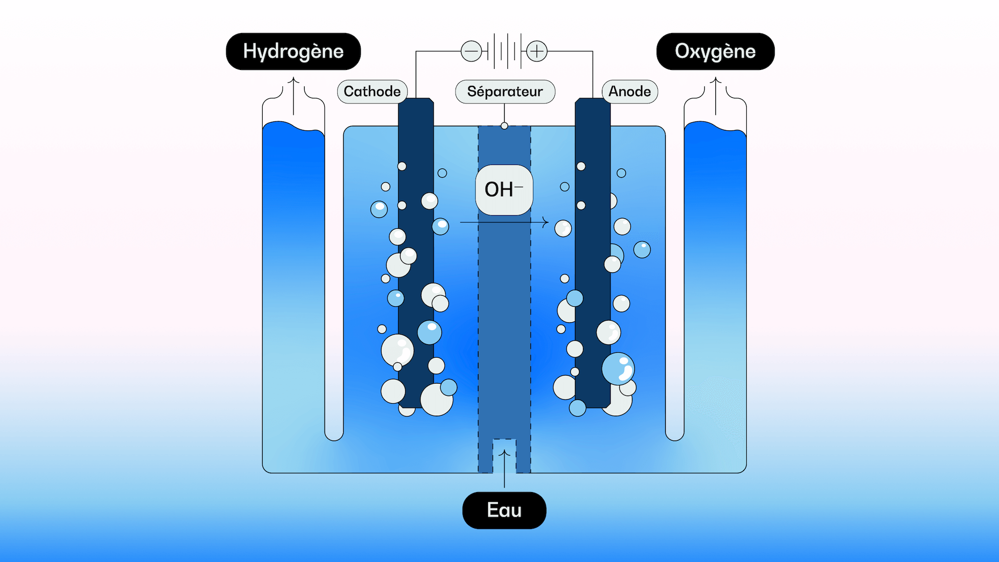 OPG026_U03_HYDROGEN ELECTROLYSIS_FR Une image illustrant l’électrolyse de l’hydrogène, un processus qui sépare l’eau en hydrogène et en oxygène à l’aide d’un séparateur, d’une cathode et d’une anode.