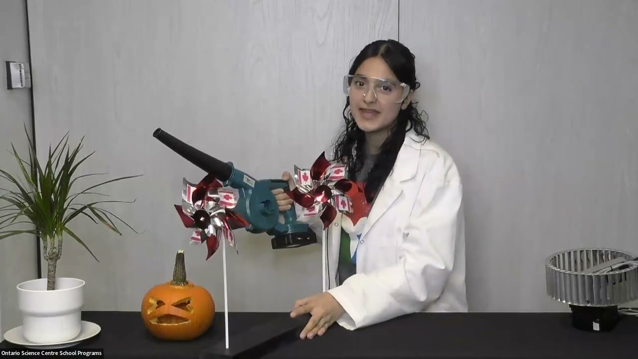 Live Stream Video Recording